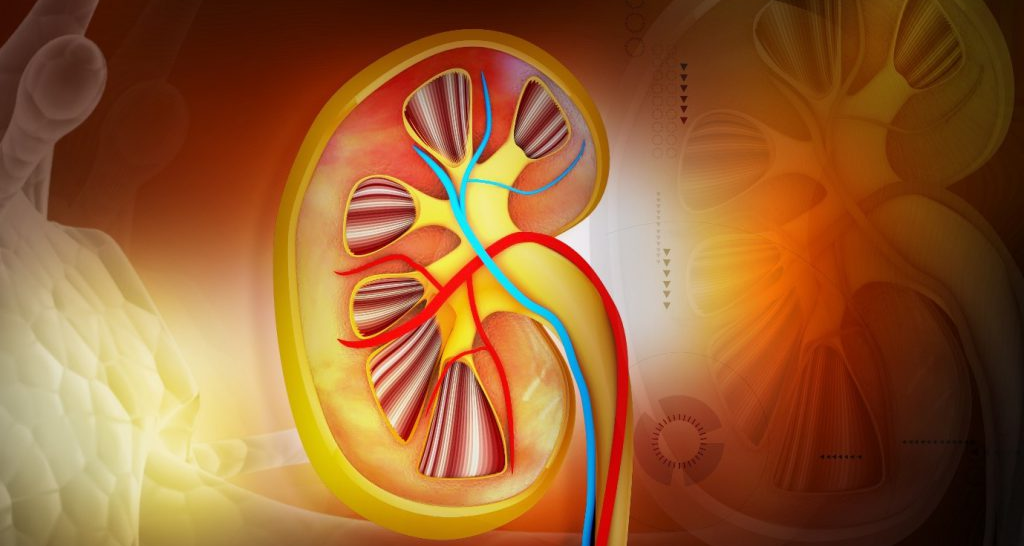 Diabetes Complications: What Happens if Diabetes Is Not Controlled