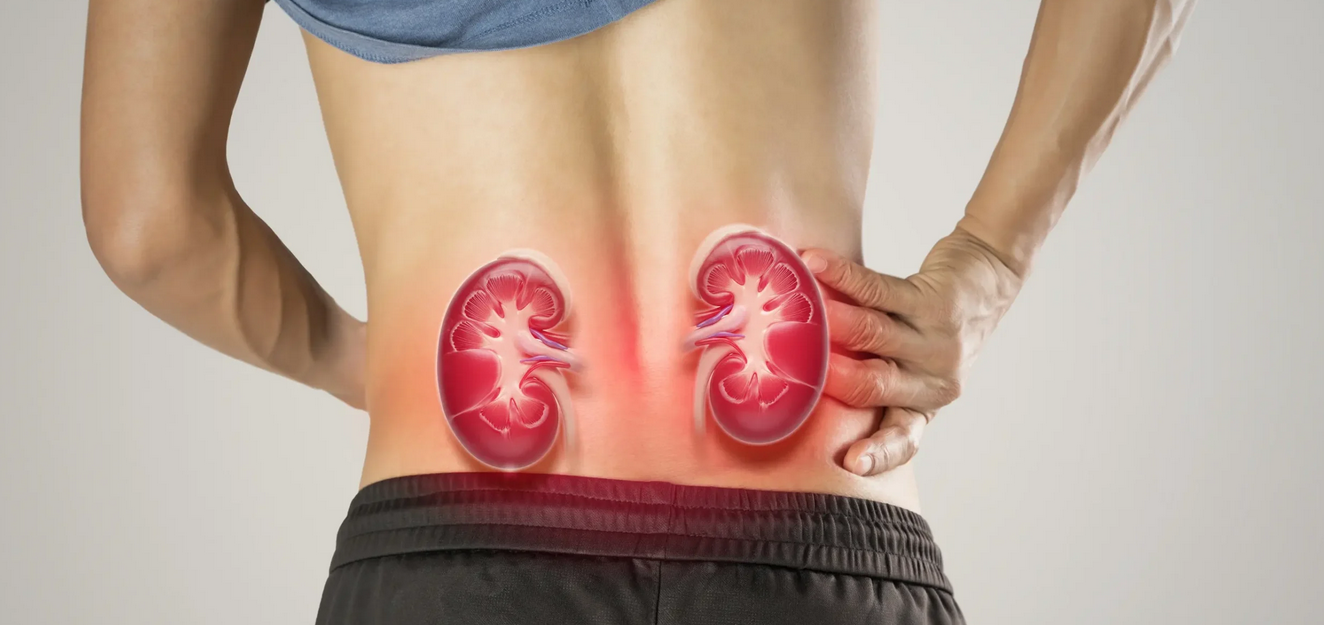 Early signs of kidney disease symptoms including fatigue swelling and urination changes